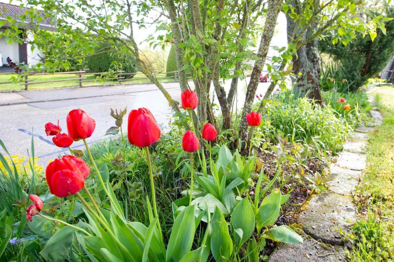 Schoene Und Helle Ferienwohnung In Pfaffenweiler Villingen-Schwenningen Esterno foto